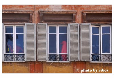 La finestra del Pinguino di Via del Panico_pb.jpg