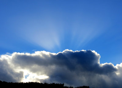 Rays