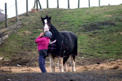 Horse Whisperer