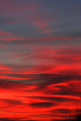 North wales Skies