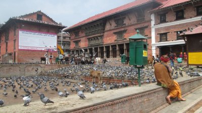 NEPAL Villes - Monuments - Katmandou 22 mars:31mars2014 - 018.jpg