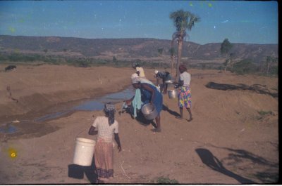 50. Dsalinisation -Drainaj Lakoma 5 .jpg