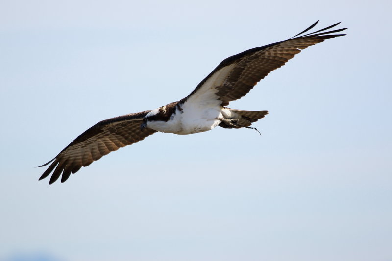 IMG_1008p.JPG