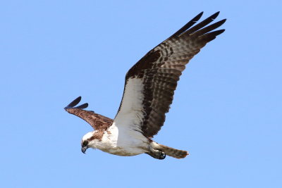 IMG_5389.JPG