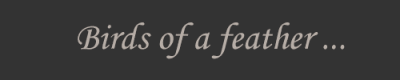 Head2.gif
