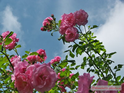 P1010486A_1024.jpg