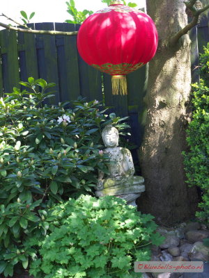 _1270475A_1024.jpg