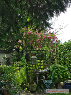 P1010489A_1024.jpg