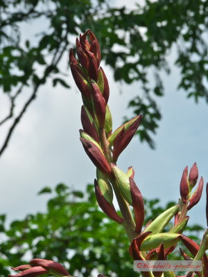 P1010500A_1024.jpg