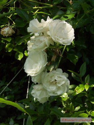 P1010510A_1024.jpg