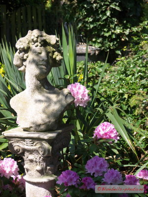 P1020525A_1024.jpg