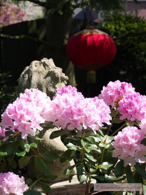 P1020530A_1024.jpg