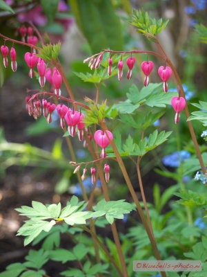 P1020535A_1024.jpg