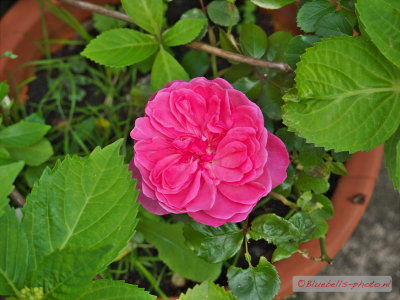 g9/56/875156/3/151363372.zEHi2HUj.jpg