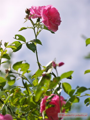 P1020589A_1024.jpg