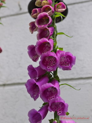 g9/56/875156/3/151363405.eQpLI6cX.jpg