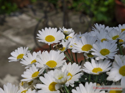 P1270537A_1024.jpg