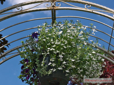 P1270549A_1024.jpg