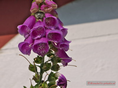 P1270695A_1024.jpg