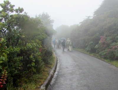 On Path to Poas Volcano 01