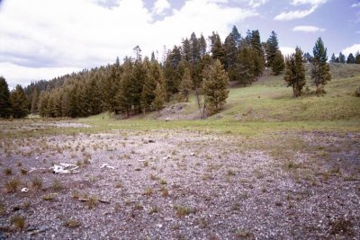 Roll5DX-14.jpg
