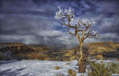 Desert snow