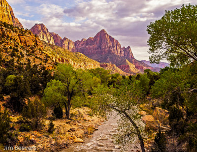 Zion Nat. Prk., Utah -7821 4-11-15_.JPG