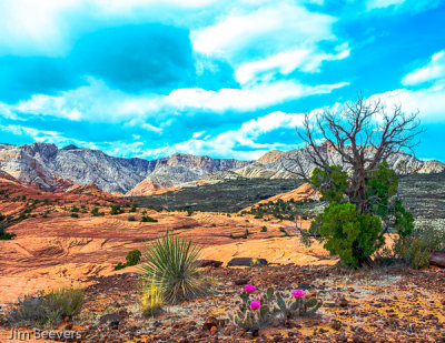 Snow Canyon, St. George, Ut.