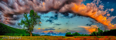 Cattlemens Bridge , Grand Tetons