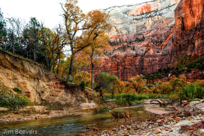 Zion Nat. Prk., Utah