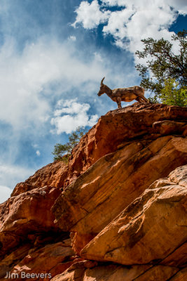 Checking out Zion National Park