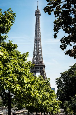 Tower