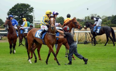 A day at the races in York