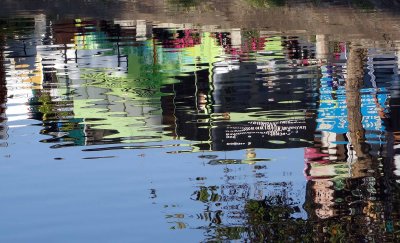 Photo 6 reflection.jpg