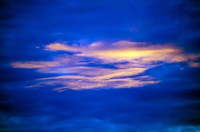 Brush strokes.jpg