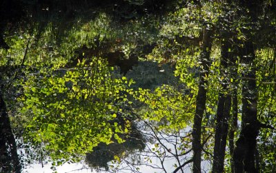 Reflections Rio Sor 1.jpg
