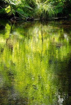 Reflections Rio Sor 3.jpg