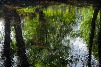 Reflections on the Rio Sor
