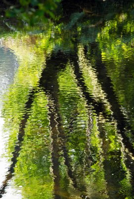 Reflections Rio Sor 5.jpg