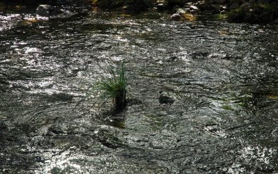 Reflections Rio Sor 6.jpg