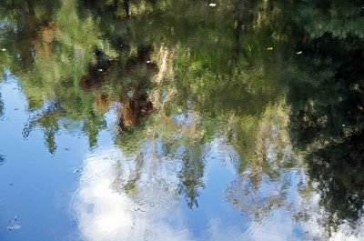 Reflections Rio Sor 7.jpg