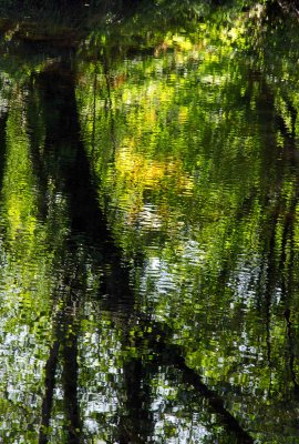 Reflections Rio Sor 8.jpg
