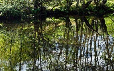 Reflections Rio Sor 9.jpg