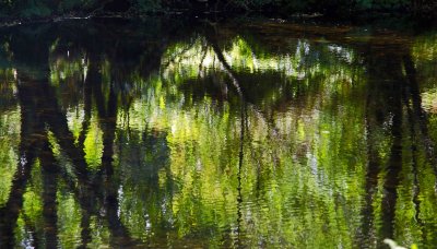 Reflections Rio Sor 10.jpg