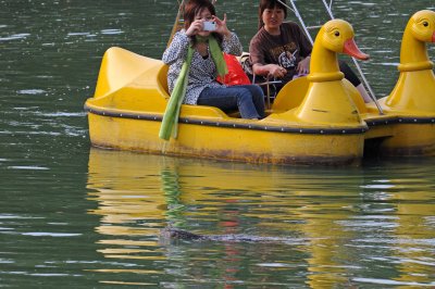 Lumpini Park 2.jpg