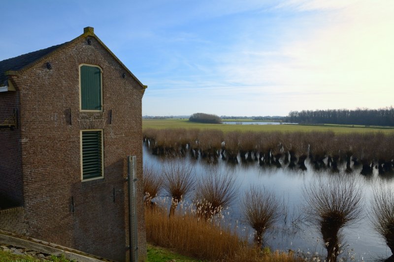 Uiterwaard Waal