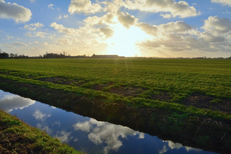 Groene winter
