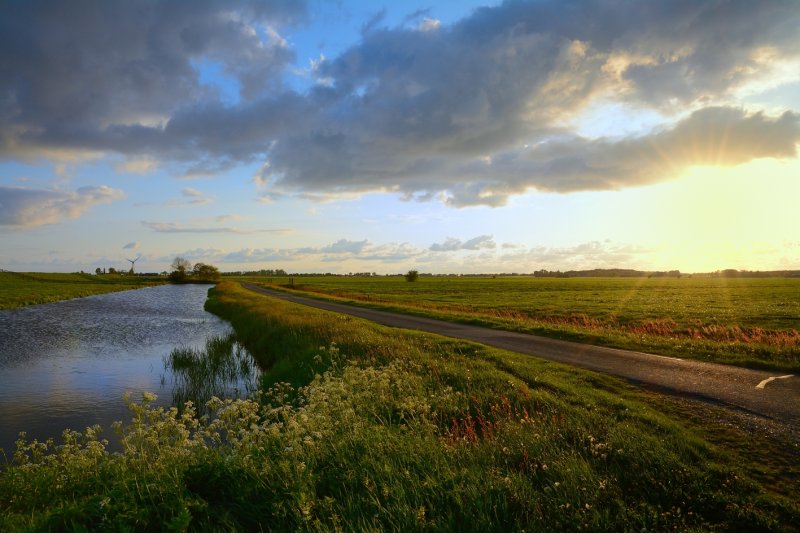 Polder bij Nijemirdum