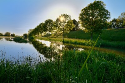 Uiterwaard van de Waal