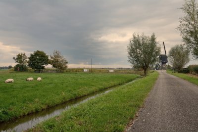 Scheiwijkse molen